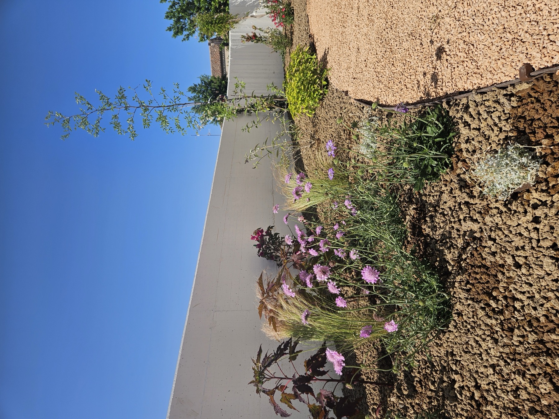 Album foto Giardino privato