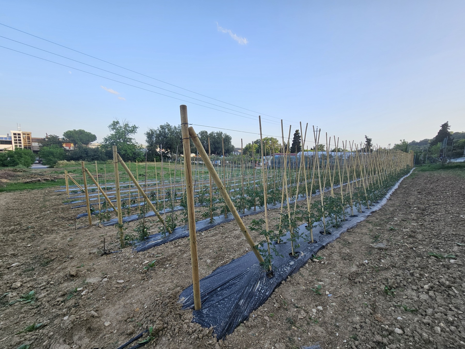 Album foto Il nostro orto