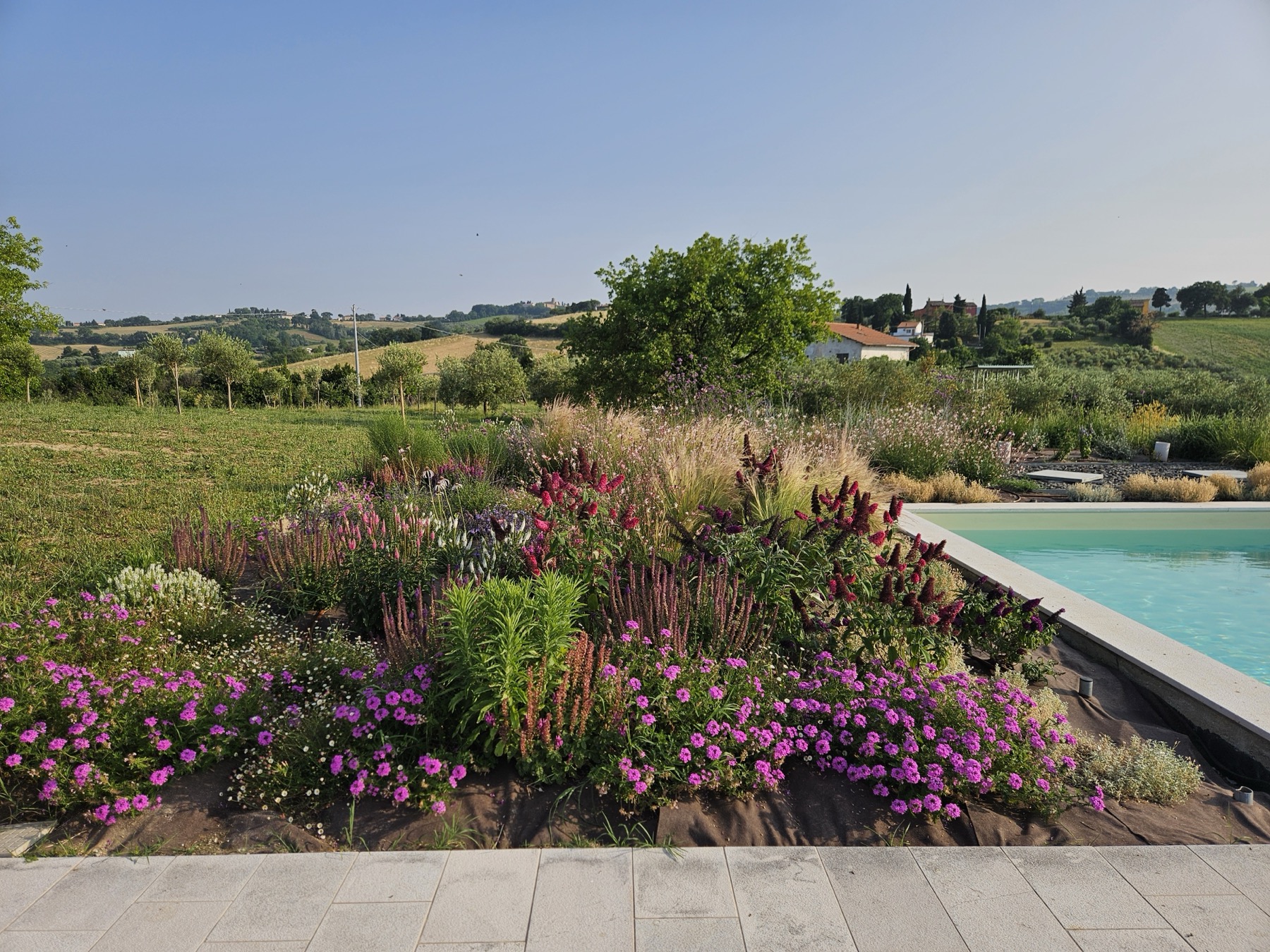 Album foto Giardino con piscina
