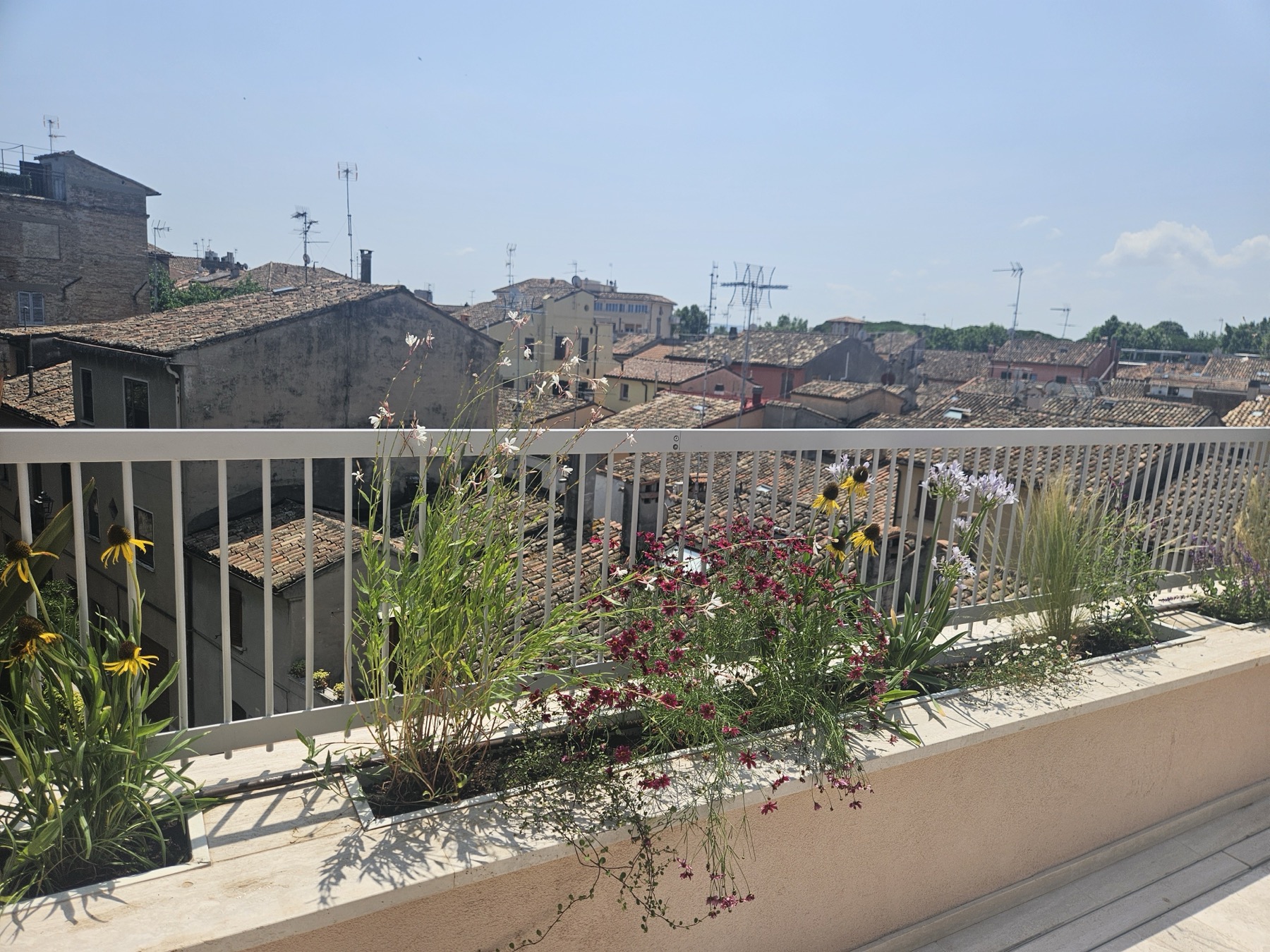 Album foto Fioriera in terrazzo