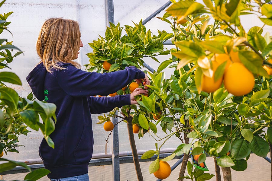 Professionisti del verde