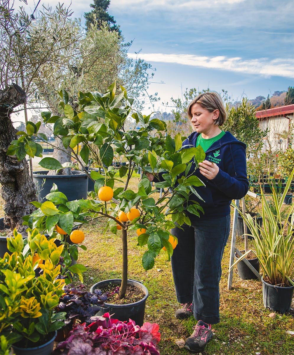 Selezione piante di qualità