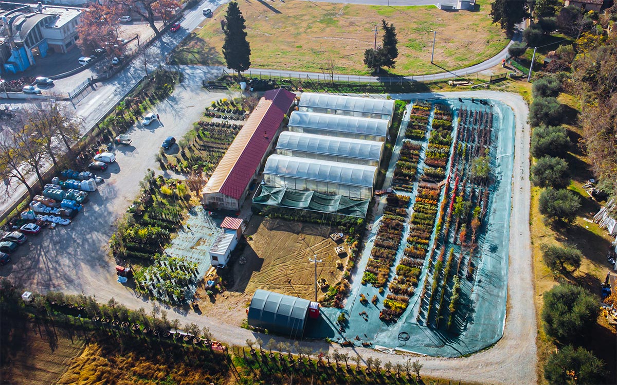 Assistenza nel tempo