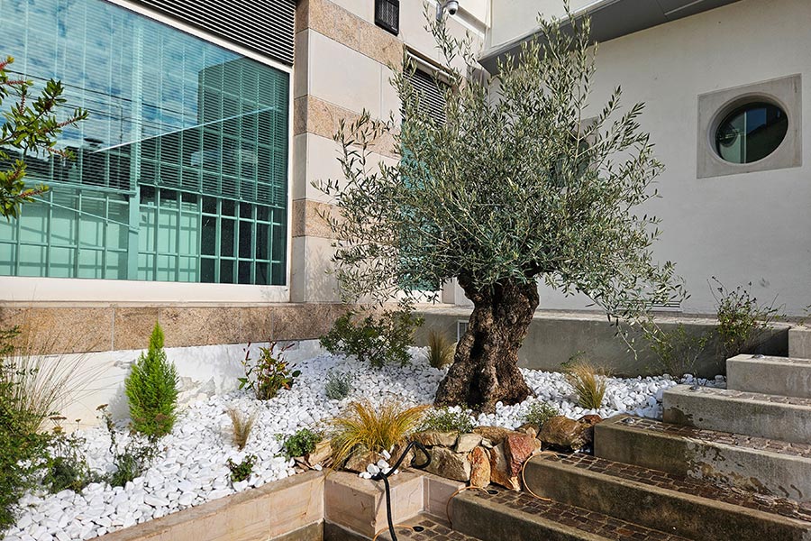 Realizzazione giardini